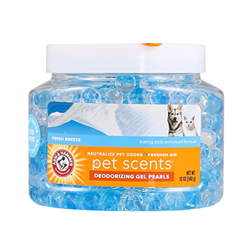 Best Car Air Freshener for Pet Odor