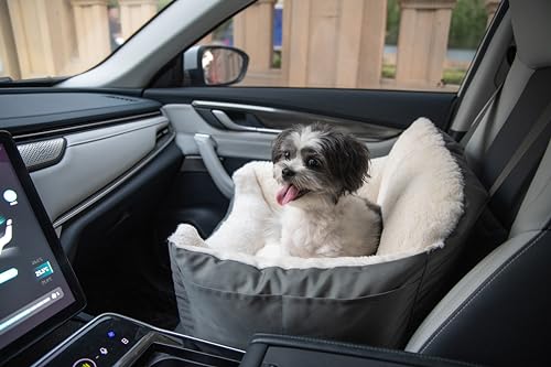 Best Dog Bed for Car