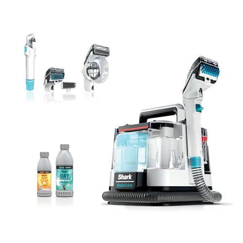 Best Extractor for Car Detailing