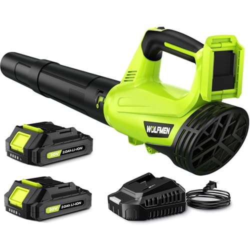 Best Leaf Blower for Drying Car