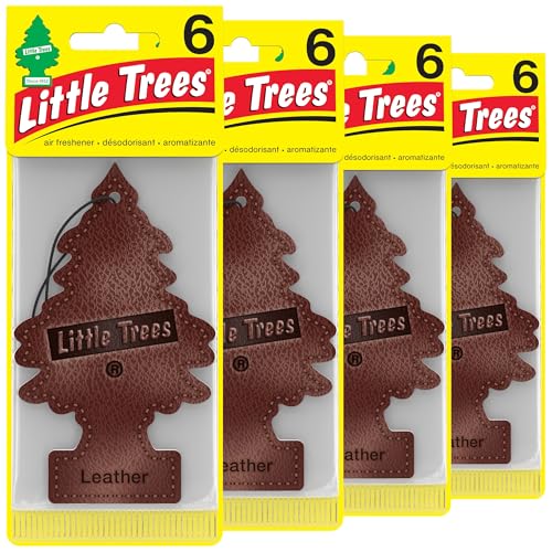 Best Leather Air Freshener for Car