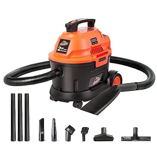 Best Shop Vacuum for Car Detailing