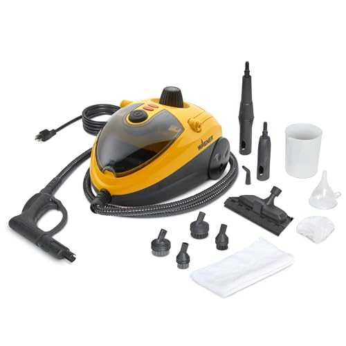 Best Steam Cleaner for Car Detailing
