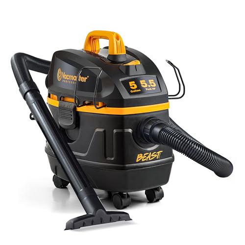 Best Wet Dry Vac for Car Detailing
