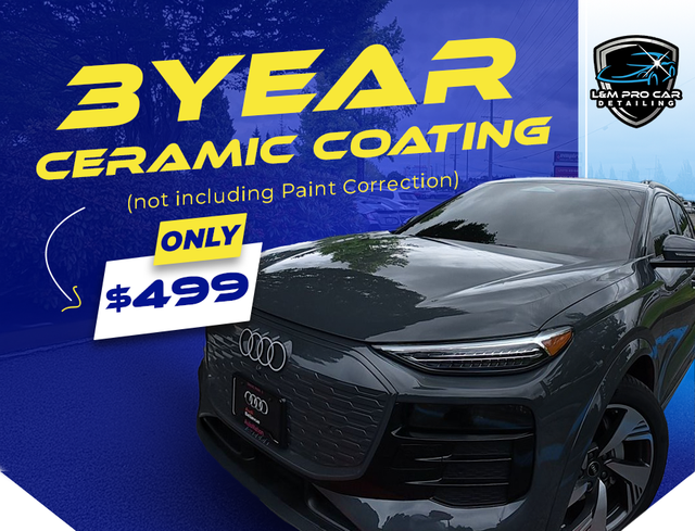 Car Detailing Pics