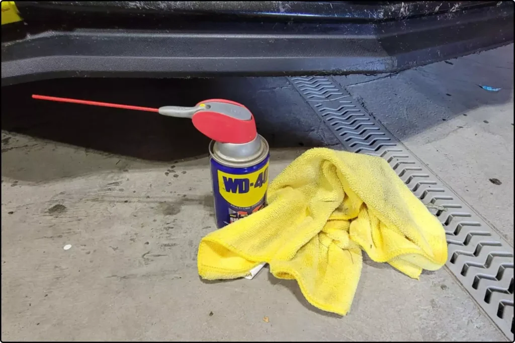 Cleaning Bugs from Car