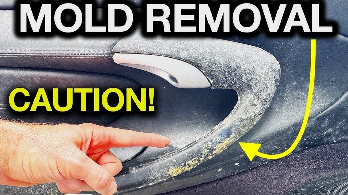 Cleaning Mold Out of Car