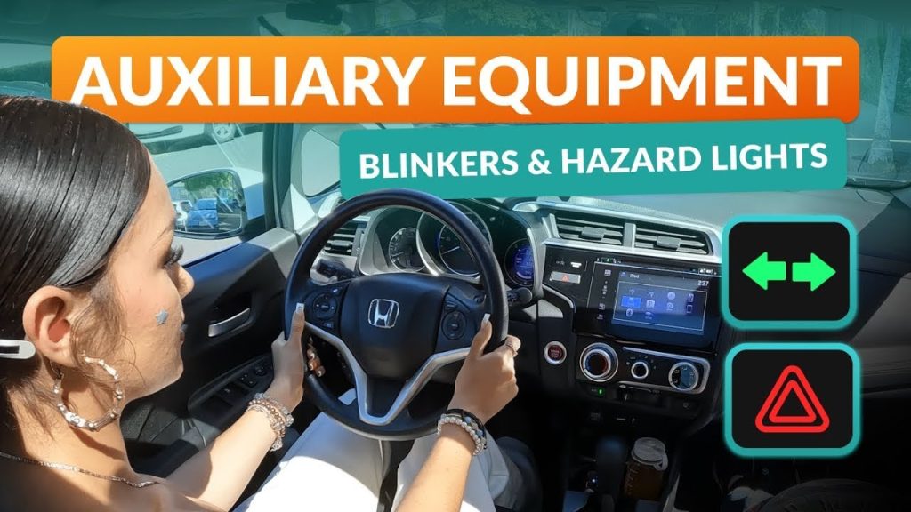 Hazard Lights in Car