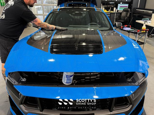 Show Car Auto Detailing