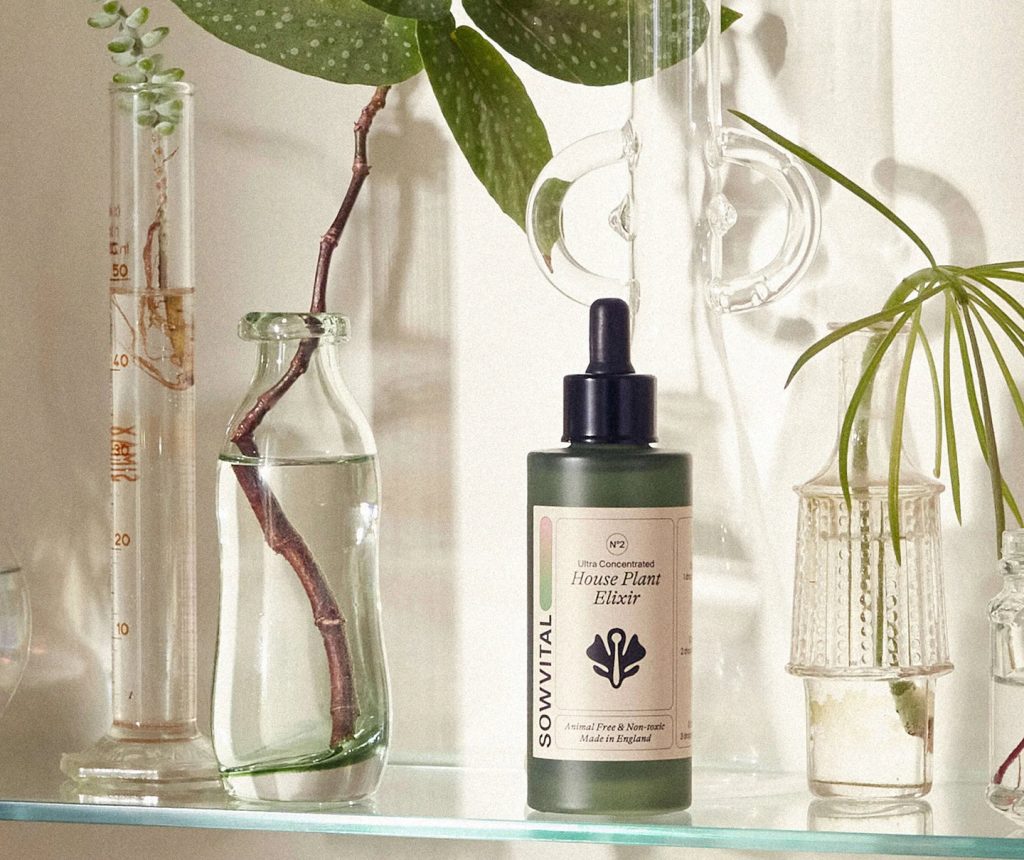 Unique Plant Care Accessories