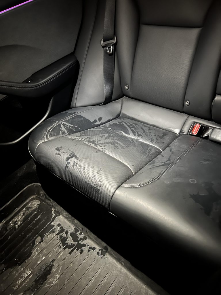 Urine on Car Seat Cleaning